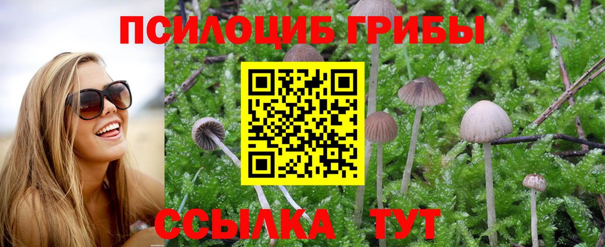 Семёнов  Псилоцибиновые грибы Cubensis  Псилоцибиновые грибы ЛСД  Вход с VPN 