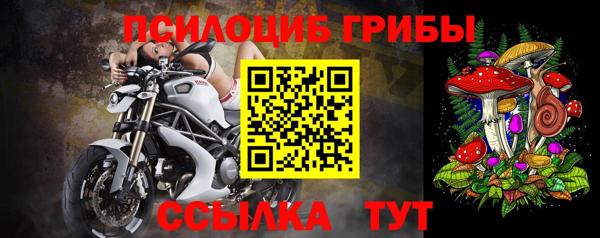 Галлюциногенные грибы мухоморы Семёнов